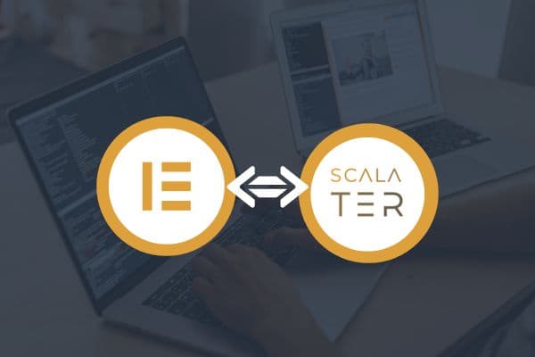 Harnessing Elementor and Programming Expertise: A Scalater Success Story