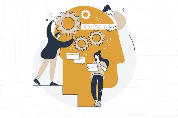Successful Shopify Theme Update with Scalater